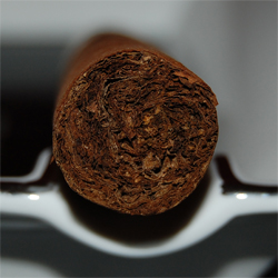 Alec Bradley Harvest Selection 1997 - 2